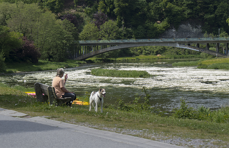 Tour Loire 05 - 201520150522_05226070 Kopie.jpg - Letzter Halt an einem kleinen Fluss in Belgien